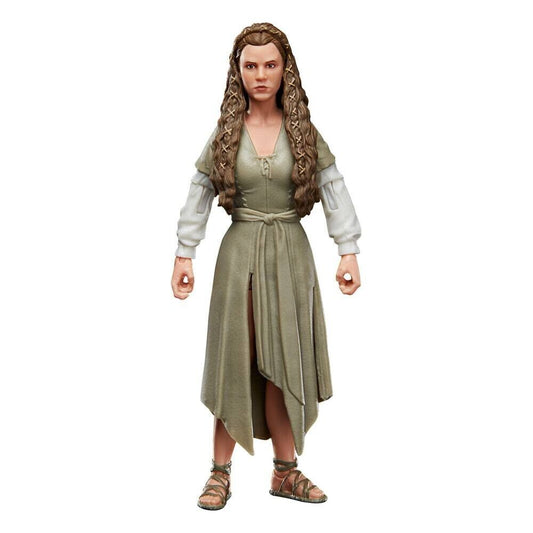 Star Wars Episode VI Black Series Action Figure 2022 Princess Leia (Ewok Village